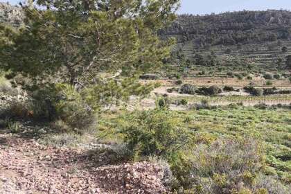 Городской участок Продажа в Romana (la), Alicante. 