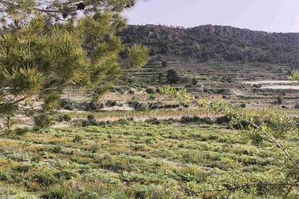 Участок Продажа в Romana (la), Alicante. 