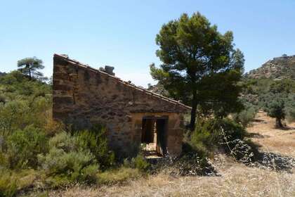 Rural/Agricultural land for sale in Cella, Teruel. 