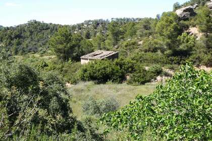 Rural/Agricultural land for sale in Arens de Lledó, Teruel. 