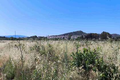 Urban plot for sale in Yecla, Murcia. 