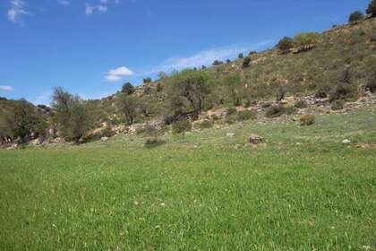 Terres agricoles vendre en Escariche, Guadalajara. 