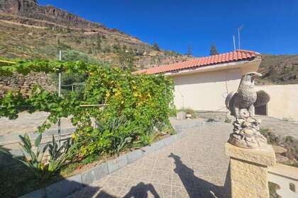 Сельский участок Продажа в San Bartolomé de Tirajana, Las Palmas, Gran Canaria. 