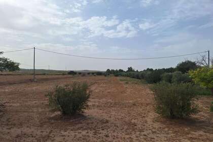 Terreno urbano venda em Lorca, Murcia. 