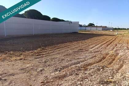 城市积 出售 进入 Arenales de San Gregorio, Ciudad Real. 