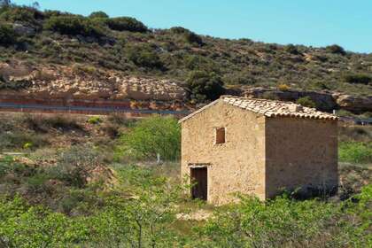 Rural/Agricultural land for sale in Cella, Teruel. 