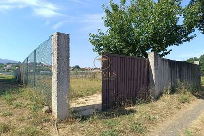 Terreni agricoli vendita in Tui, Pontevedra. 