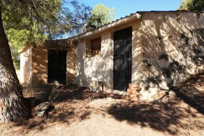 Rural/Agricultural land for sale in Cella, Teruel. 