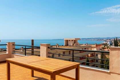 平 出售 进入 Benalmádena, Málaga. 