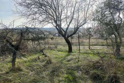 Участок Продажа в Torrelaguna, Madrid. 