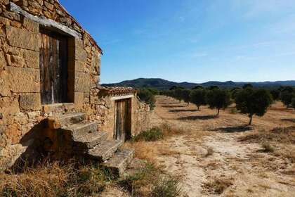 Rural/Agricultural land for sale in Cella, Teruel. 