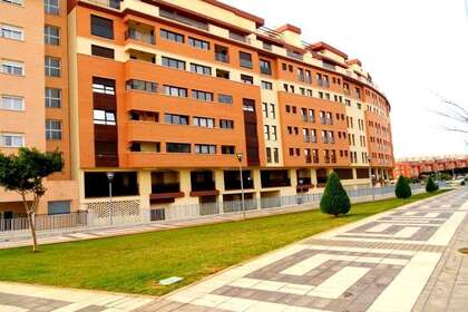 平 进入 Malahá (La), Granada. 