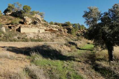 Rural/Agricultural land for sale in Alfambra, Teruel. 
