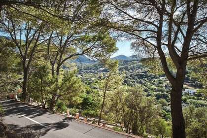 Rural/Agricultural land for sale in Andrach / Andratx, Baleares (Illes Balears), Mallorca. 