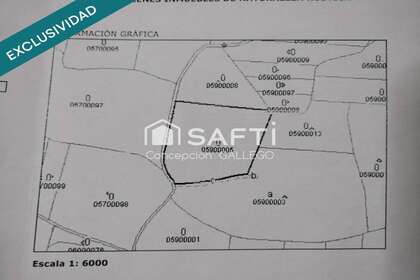 Rural/Agricultural land for sale in Campo de Criptana, Ciudad Real. 