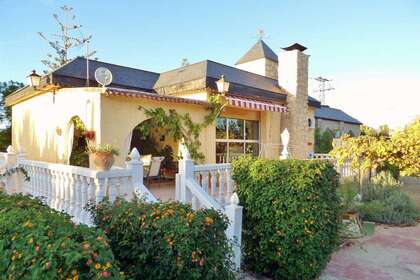 Flat in Mutxamel/Muchamiel, Alicante. 