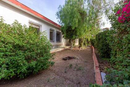 Flat in Torrevieja, Alicante. 