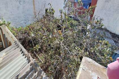 Enredo venda em Agüimes, Las Palmas, Gran Canaria. 