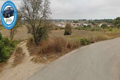 Parcela/Finca en Chiclana de la Frontera, Cádiz. 