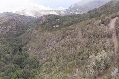 House for sale in Santa Cruz de Tenerife, Tenerife. 