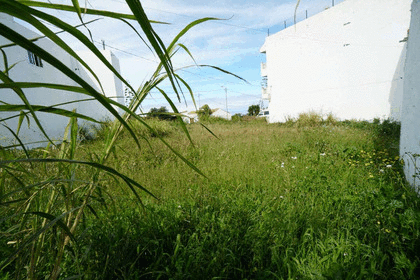 Urban plot for sale in Moya, Las Palmas, Gran Canaria. 