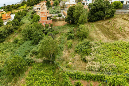 Urban plot for sale in Sauzal, El, Santa Cruz de Tenerife, Tenerife. 