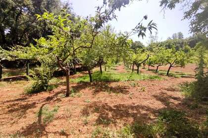 Land
