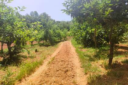Land