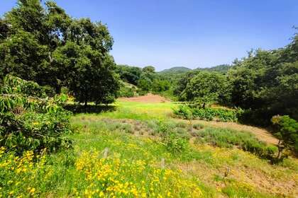 Land