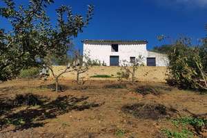 Plot for sale in Galaroza, Huelva. 