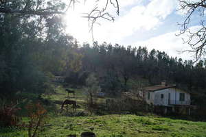 Plot for sale in Galaroza, Huelva. 