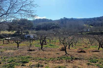 Участок Продажа в Galaroza, Huelva. 