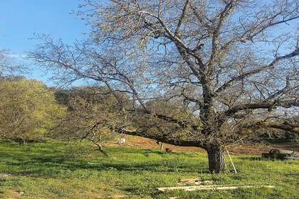 Enredo venda em Galaroza, Huelva. 