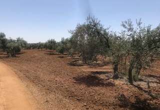 Parcela/Finca venta en Carmona, La Campiña, Sevilla. 