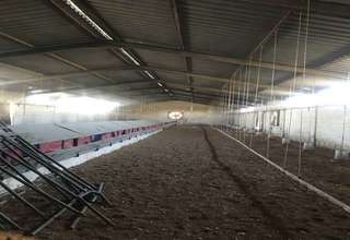 Parcela/Finca venta en Carmona, La Campiña, Sevilla. 