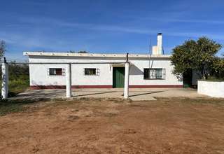 Parcela/Finca venta en Carmona, La Campiña, Sevilla. 