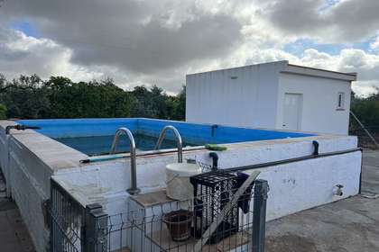 Parcela/Finca venta en Carmona, La Campiña, Sevilla. 