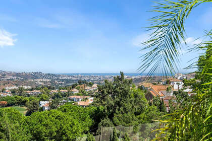fotka