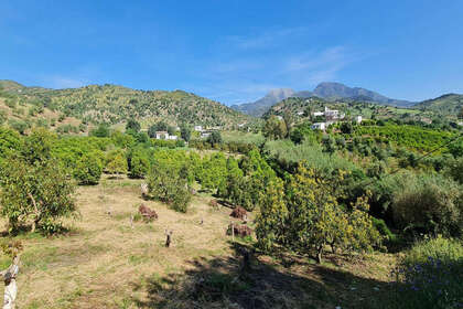 Percelen/boerderijen verkoop in Tolox, Málaga. 