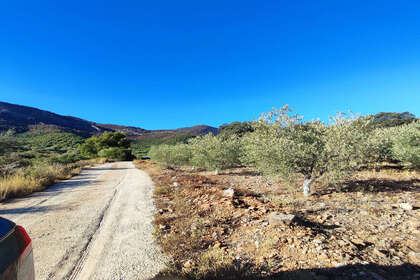 Plot for sale in Alhaurín el Grande, Málaga. 