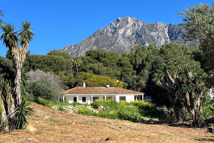Plot for sale in Sierra Blanca, Marbella, Málaga. 
