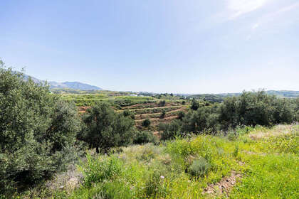 Plot for sale in Mijas, Málaga. 