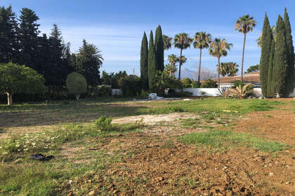 Percelen/boerderijen verkoop in Guadalmina, Málaga. 