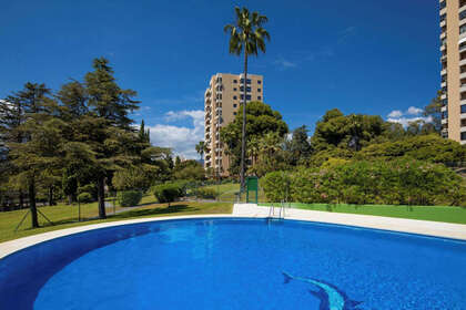 Studio's verkoop in Nueva andalucia, Málaga. 
