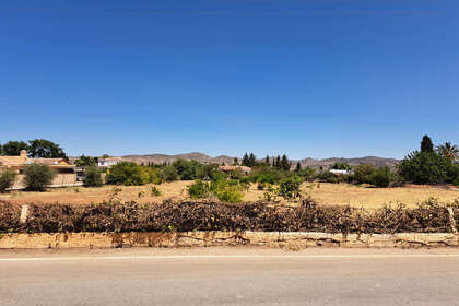 Percelen/boerderijen verkoop in Alhaurín de la Torre, Málaga. 