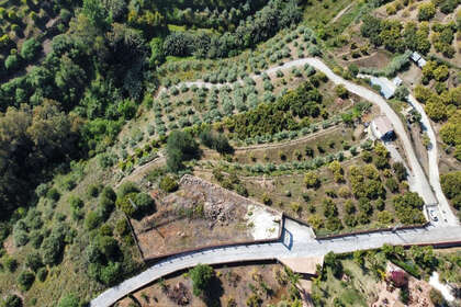 牧场 出售 进入 Alhaurín el Grande, Málaga. 