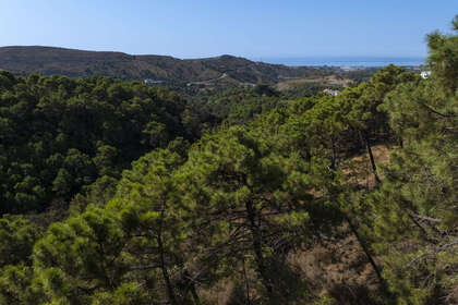 Plot for sale in Benahavís, Málaga. 