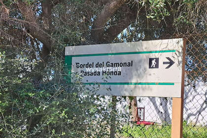 Plot for sale in San Roque, Cádiz. 