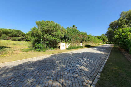 Plot for sale in Sotogrande, Cádiz. 
