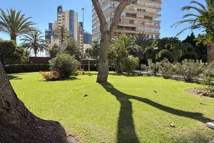 Apartamento venta en Playa de San Juan, Alicante. 